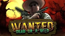 Wanted Dead or a Wild